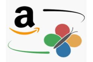 Amazon FBA Routing EDI services